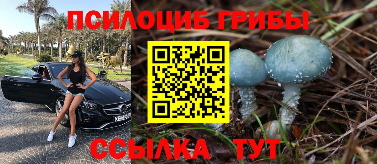 Псилоцибиновые грибы GOLDEN TEACHER  Псилоцибиновые грибы MAGIC MUSHROOMS  Вход с VPN  Новошахтинск 