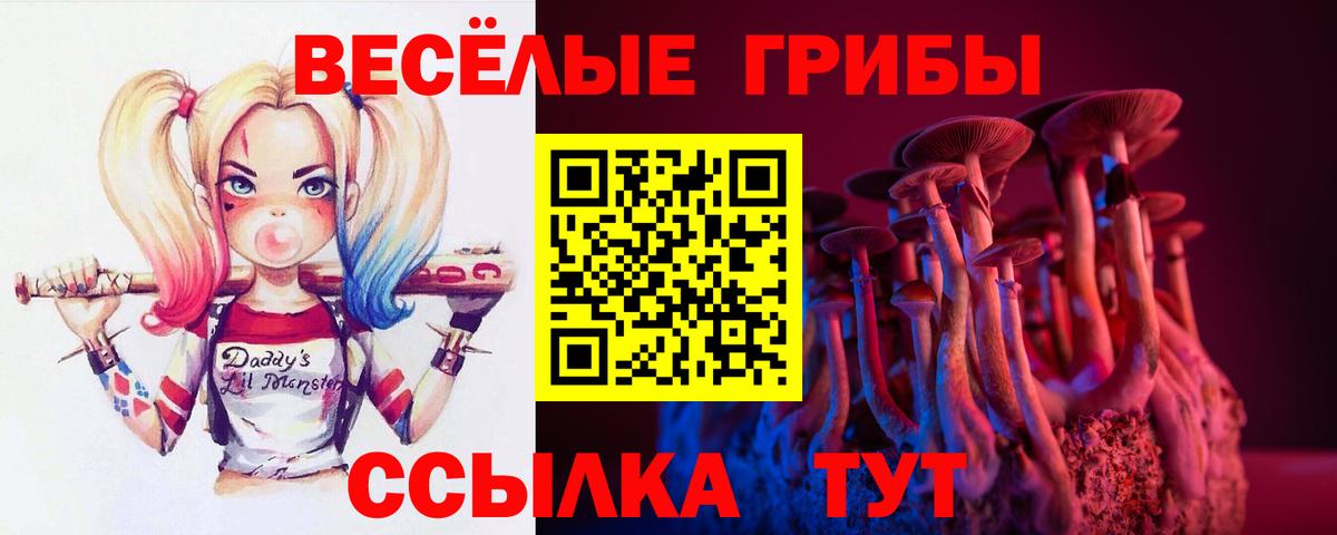 Псилоцибиновые грибы GOLDEN TEACHER Новошахтинск